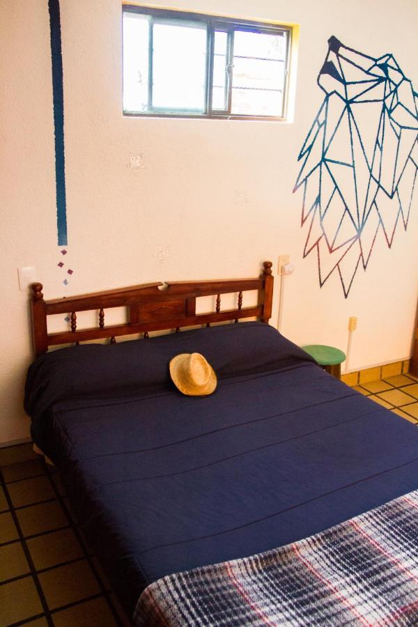 Lipi House Hostel Сан-Кристобаль-де-Ла-Касас Экстерьер фото