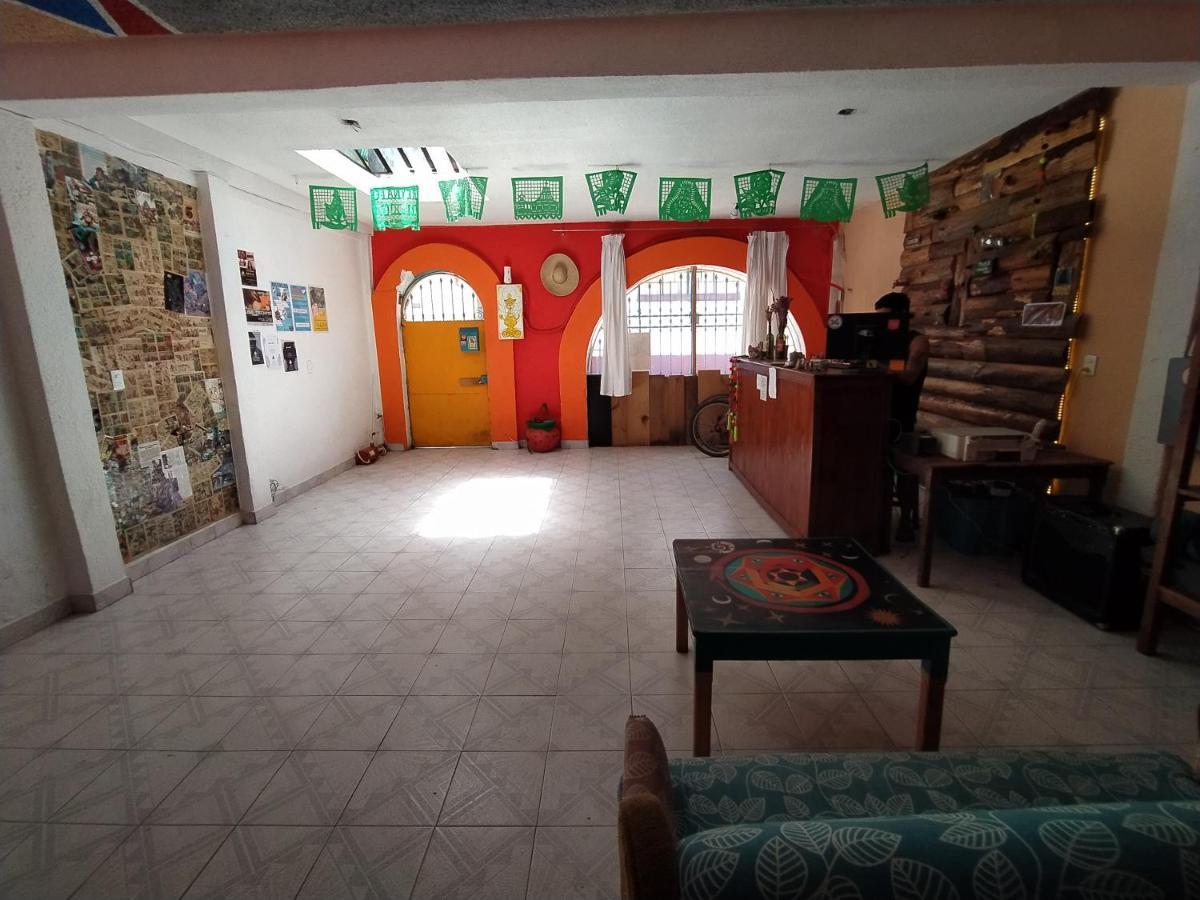 Lipi House Hostel Сан-Кристобаль-де-Ла-Касас Экстерьер фото