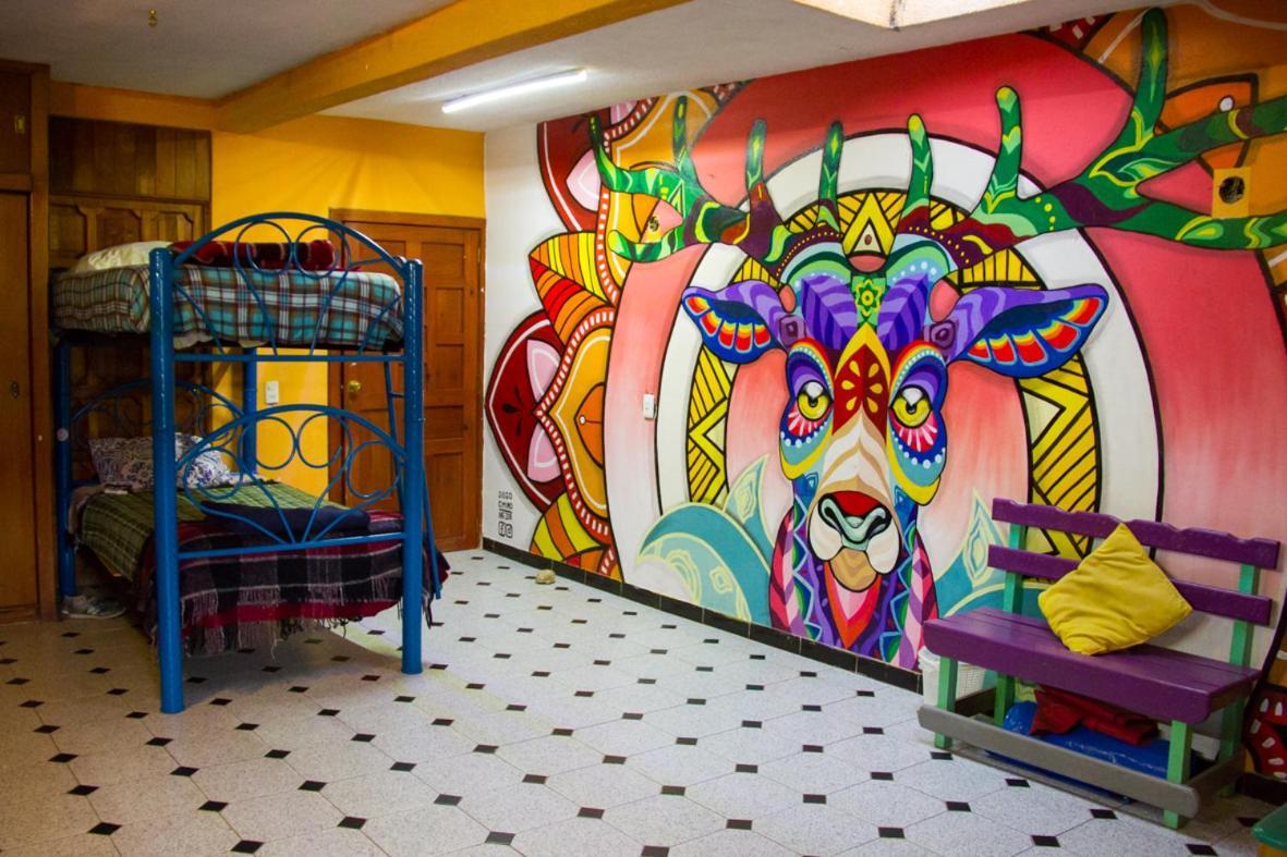 Lipi House Hostel Сан-Кристобаль-де-Ла-Касас Экстерьер фото