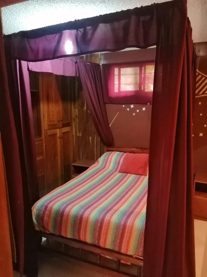 Lipi House Hostel Сан-Кристобаль-де-Ла-Касас Экстерьер фото