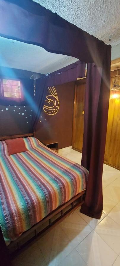 Lipi House Hostel Сан-Кристобаль-де-Ла-Касас Экстерьер фото